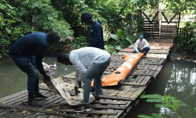 Eco X Waste Free Oceans