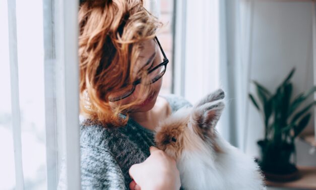 5 Things Smart Eyewear Can Currently Do in 2023